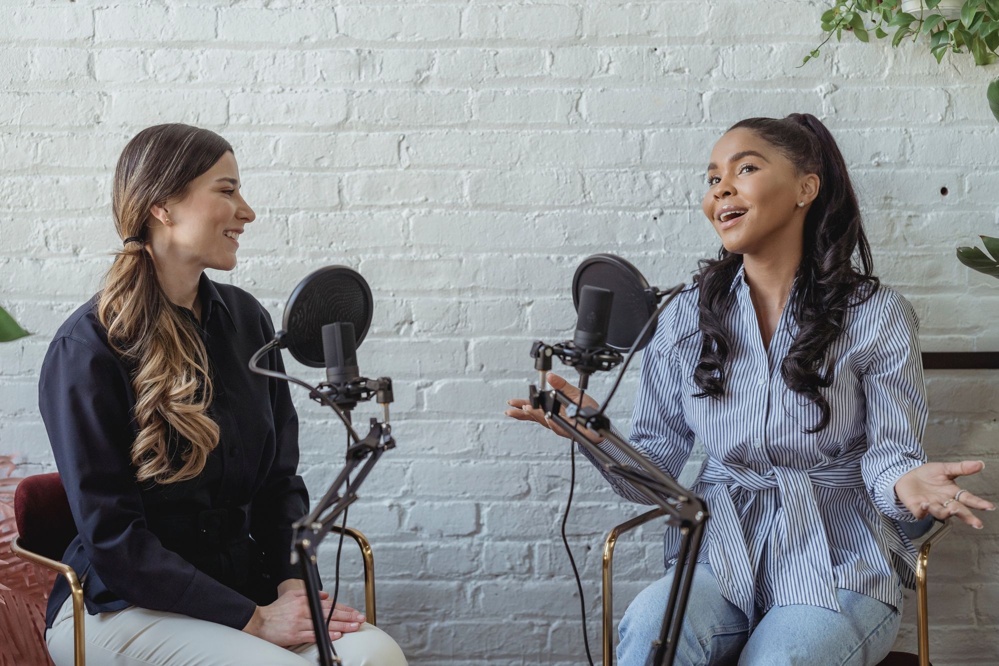 The best Email marketing for podcasts to grow your audience