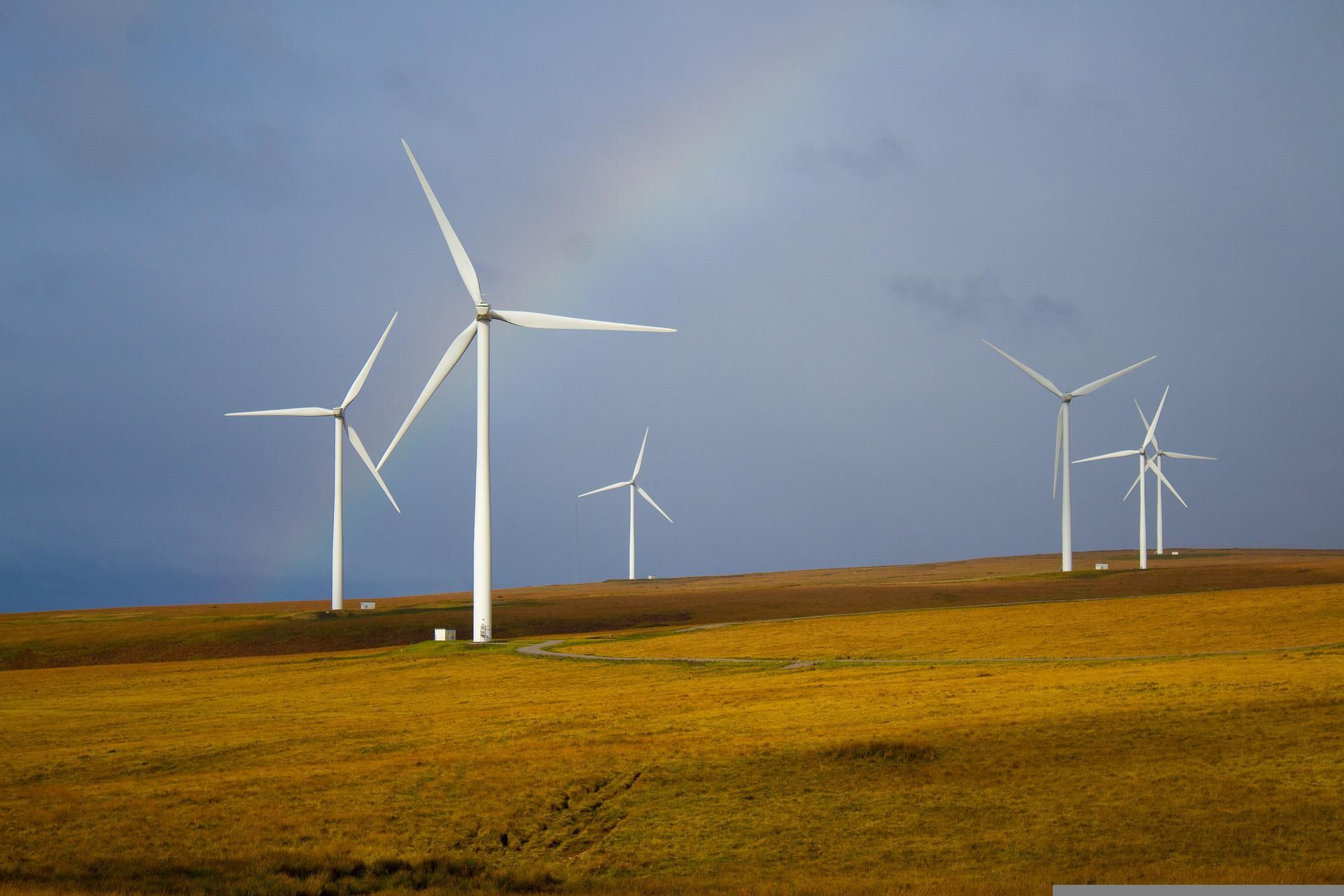 A few of the best sustainable startups out there in 2022 that could weather a recession