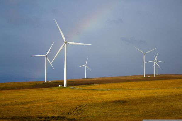 A few of the best sustainable startups out there in 2022 that could weather a recession